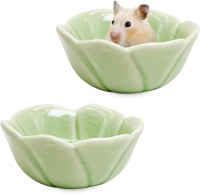 BNOSDM 2 Pcs Hamster Ceramic Food Bowl Flower Series Gerbil Drinking Bowls Anti-Turning Food & Water Dish for Dwarf Syrian Hamsters Gerbil Chinchilla(Green, Rose Pattern)