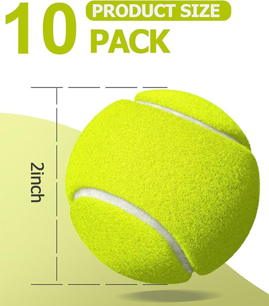 10 Pack Small Tennis Balls for Dogs, Easy Catching Pet Balls for Exercise and Fetch, 2-inch Dog Tennis Ball, Interactive Toys