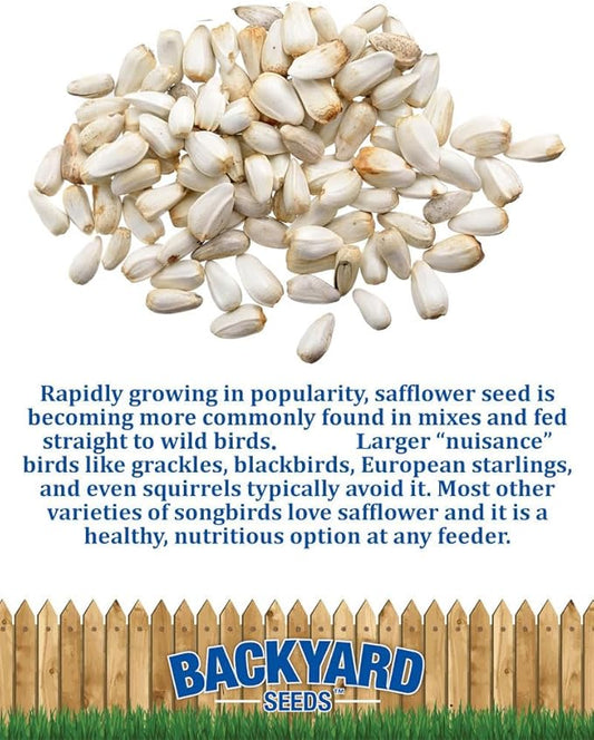 CountryMax Backyard Seeds Safflower Bird Seed – Premium Seed for Cardinals, Chickadees, Woodpeckers and Grosbeaks – 50 lbs Bag
