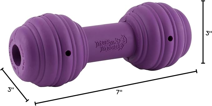 PetSafe Busy Buddy Chuckle, Medium/Large