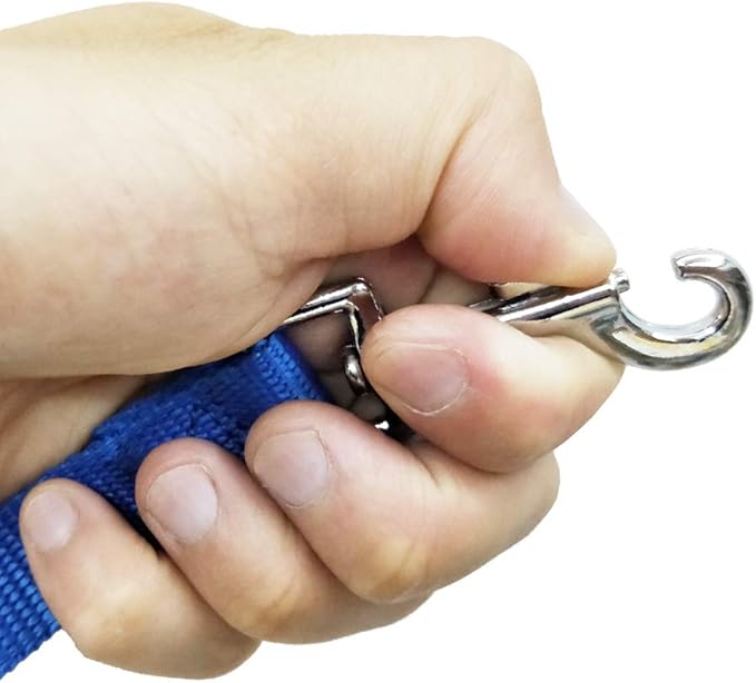 Nylon Training Dog Leash for Small Medium Large Dogs, 15ft 20ft 30ft 50ft Long Leash Dog/Puppy Lead for Obedience Recall Training, Camping (1" x 20ft, Blue)