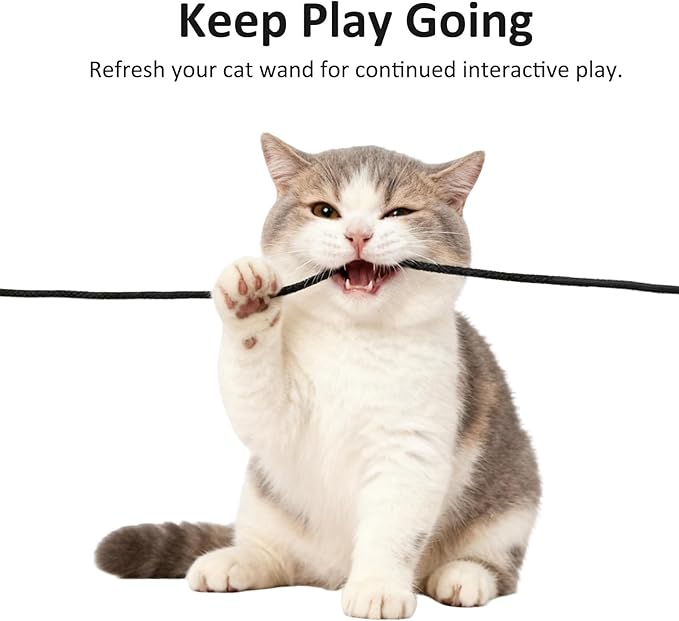 Cat Wand Refill Strings,4 pcs Replacement Strings for Cat Wand Toy (2 Stretchy Nylon + 2 Premium Fishing Lines) Built-in Bells & Lobster Clasps Fits All Toys to Enhance Interactive Playtime