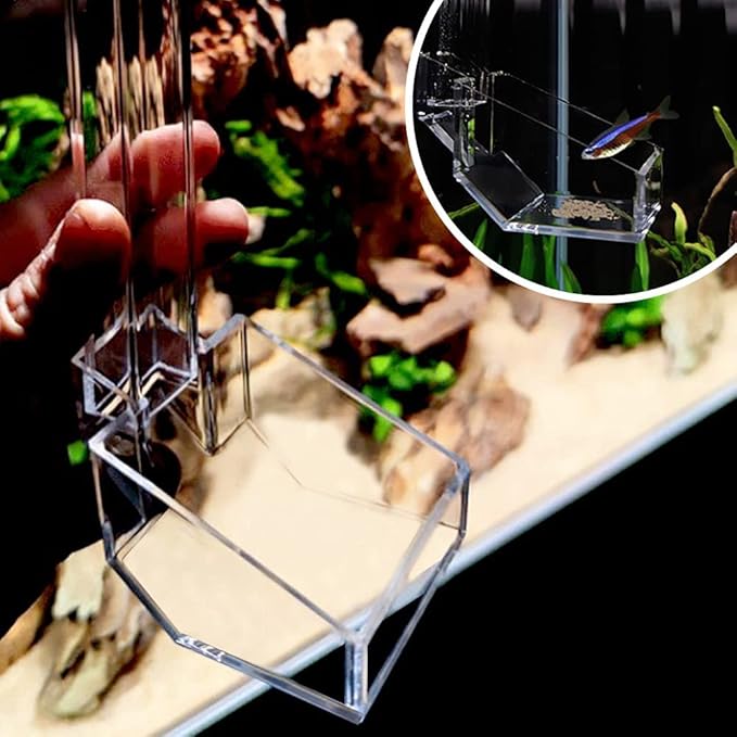 Shrimp Fish Feeding Dish, Aquarium -Sky Restaurant- Betta Feeding - Prevent Food Spilling, Fish Feeder, Also Easy to Clean Up The Food Left Over, African Feeding, Dwarf Frogs Feeding (L)