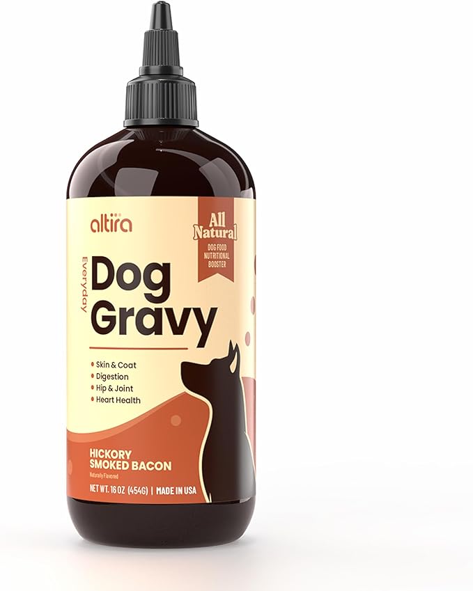 Everyday Dog Gravy - Wet Dog Food Topper for Dry Food with Glucosamine, MSM, Chicken Bone Broth, Omega 3, Probiotics and Taurine - Skin, Coat, Heart, Hip and Joint Support, 16 oz (Bacon