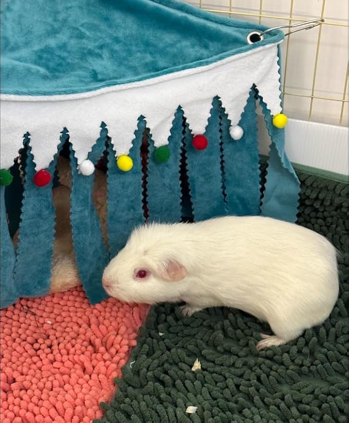 OMEM Guinea Pig Corner Hideout Fringed Triangle House with Hidden Hammock Tent for Hamster Rabbit Small Pet Habitat Décor (Blue)