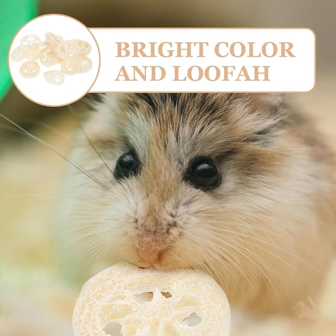 Veemoon 20pcs Hamster Bunny Pet Chewing Toy, Natural Loofah Small Animal Chew Tool Pet Molar Toy for Guinea Pig Chinchilla Hamster Rat Tooth Cleaning and Oral Care Stress Relief Entertainment