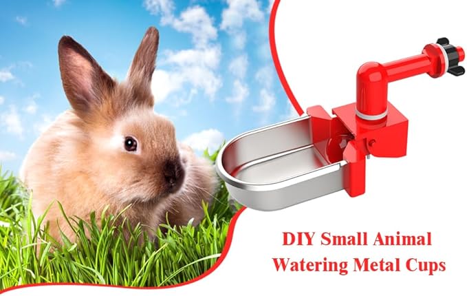 Metal Rabbit Chicken Water Cup Chicken Kettle DIY Chicken Small Hamster Guinea Pig Rabbit (red, 3)