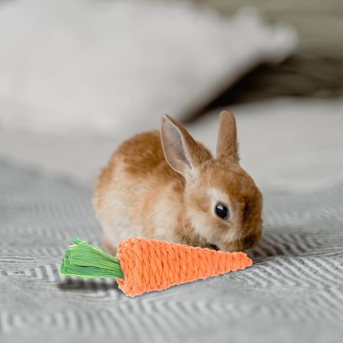 6Pcs Hand Woven Straw Radish Carrot Chew Toys for Hamsters Rabbits Guinea Pigs Small Animals Molar Teeth Cleaning Stress Relief