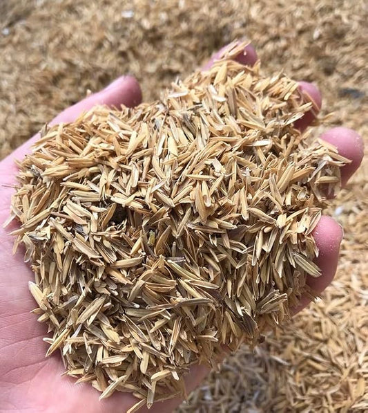 Gardenera Natural Rice Hulls - Eco-Friendly Mulch and Soil Amendment for House Plants and Chicken Bedding - 1 Quart
