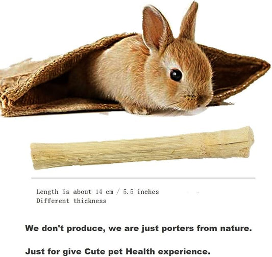 300g/10.5oz Bamboo Sticks for Rabbits - Rabbit Chew Toys for Teeth with Rabbit Treats Included - Durable Chew Sticks for Hours of Fun