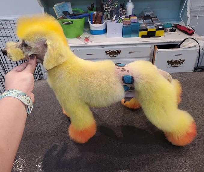 Crazy Liberty Magic Color Shampoos (Yellow). Semi-Permanent Pet Hair Coloring Shampoo, Safe and Gentle Ammonia and Paraben Free Hair Dye Shampoo, Non-Toxic Coloring Shampoo for All Pets Can be Bathed.