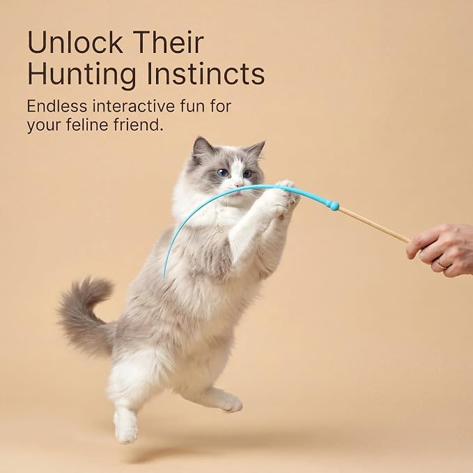 Larrel Silicone Cat Toys Wand, 3 Pcs Cute Colorful Cat Teaser Wand, Lightweight Silicone Cats Wands Toy for Indoor Cats Kittens Chase Exercise