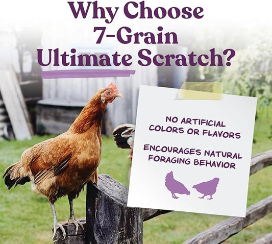 Manna Pro 7-Grain Ultimate Chicken Scratch – Non-GMO Scratch Grain Treat for Chickens, Hens and Other Birds – Natural Multigrain Blend for Poultry and Backyard Flocks – 10 lb Bag