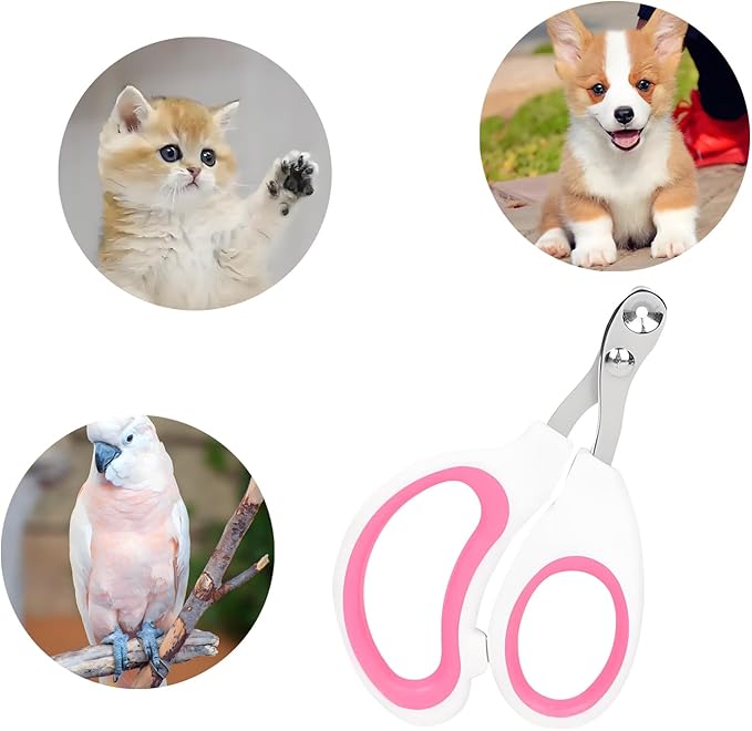 Stainless Steel pet Nail Clippers in Rose red, 1 piece per Sale