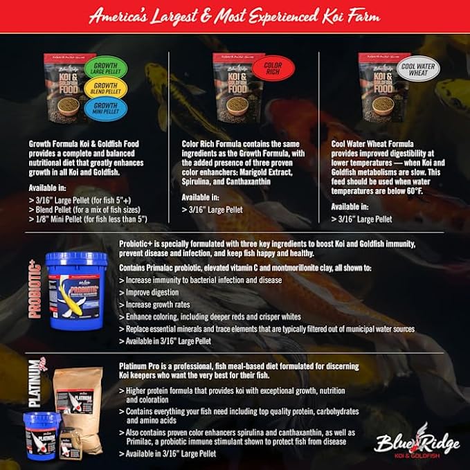 Blue Ridge Koi Fish Food 25lb - Koi Food Color Growth Formula, Goldfish Food, Premium Fish Food for Ponds, Ponds Fish Food, Floating Pond Pellets