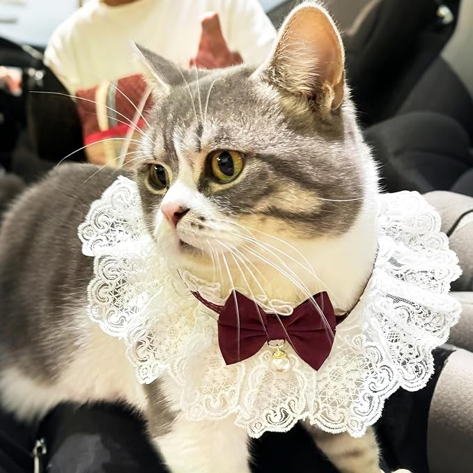 Elegant Lace Cat Collar with Cute Bow,Cat Collar with Bow Tie,Pet Lace Bib Collar with Cute Bow,Cat Princess Costumes,Crimson,1 Piece 