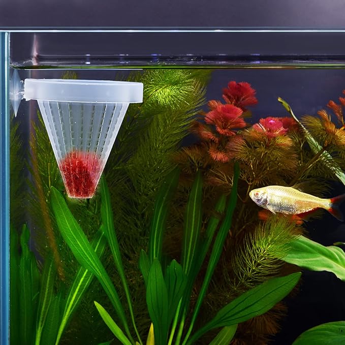 WEAVERBIRD 4PCS Aquarium Nematode Feeder, Live Blood Worm Plastic Cone Cup Shape Basket Feeder for Feeding Fish with Suckers