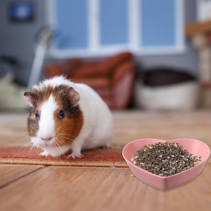 3 Pcs Guinea Pig Food Bowl Heart Hamster Food Water Bowl Plate Plastic Anti-Turning Water Dish Gerbil Drinking Bowls for Dwarf Syrian Hedgehog Gerbil Small Animals Rat Rodent, 2.9“ x0.9“