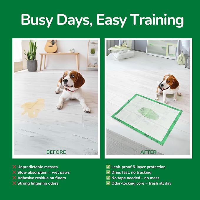 Pet N Pet 50 Counts Pee Pads for Dogs, 48% USDA Certified Plant Based Dog Pad, Unscented Puppy Training Pads, High Absorbency & Leak-Proof Pee Pads for Dogs