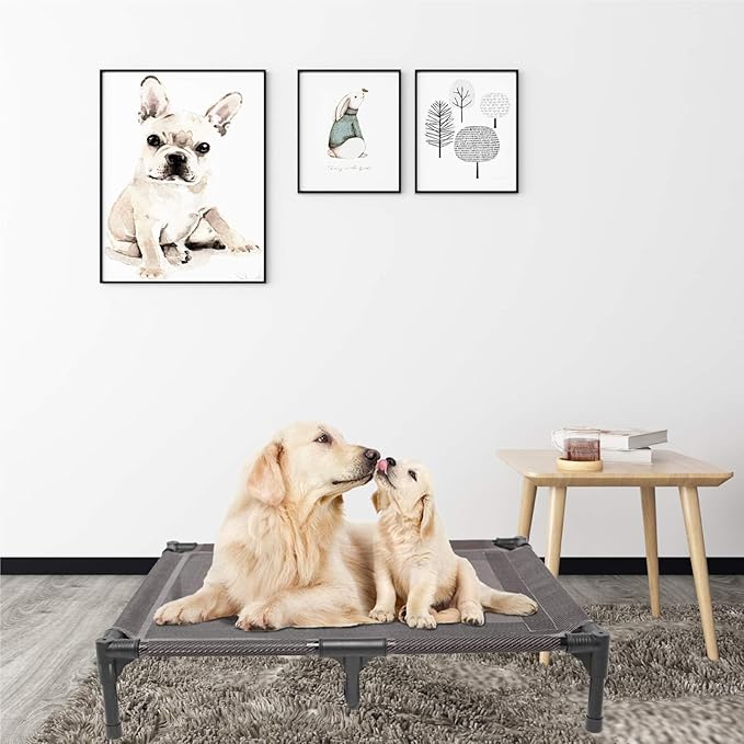 suddus Elevated Dog Bed Waterproof Outdoor, Portable Raised Dogs Beds, Dogs Beds Off the Floor, Dog Bed Easy Clean Indoor or Outdoor Use, Large, Grey