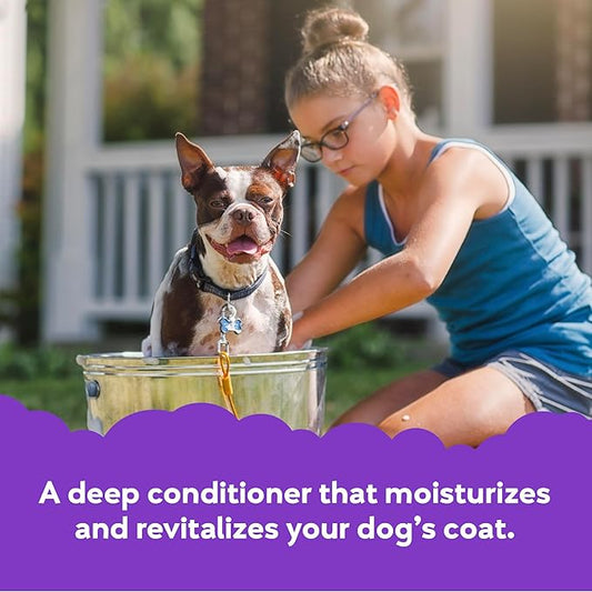 Buddy Rinse Conditioner for Dog Grooming Dog, Lavender & Mint, 16 oz. Bottle