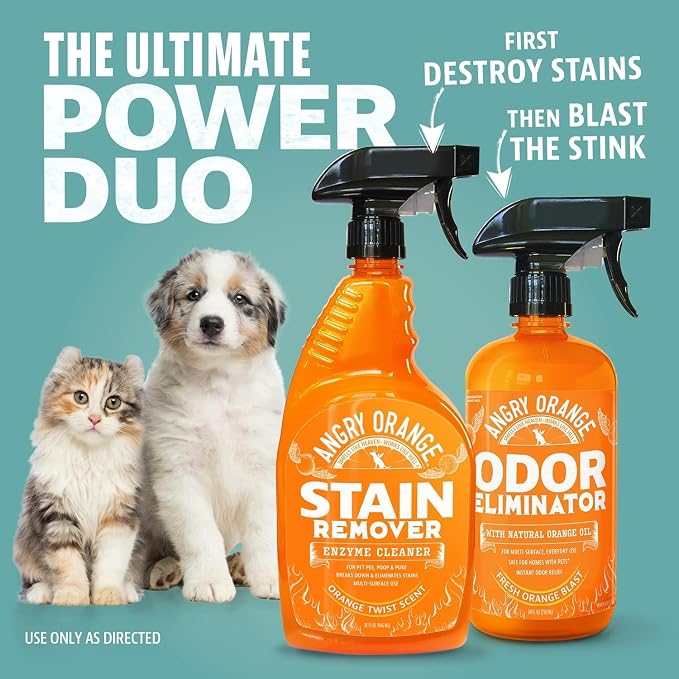 ANGRY ORANGE Pet Stain and Odor Remover - 2 Spray Pack - 32 oz Dog, Ferret, Rabbit & Cat Urine Enzyme Cleaner - 8 oz Strong Pet Odor Eliminator Concentrate - For Pee on Carpet, Furniture, Tile, Wood