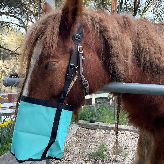 Horse Feed Bag,Heavy Duty Muzzle Feed Bag with Adjustable Strap,Comfort Neck Pad,Nose Pad and Double Waterproof Bottom Mesh Feed Bags for Horse Pack of 2 (Red+Blue)