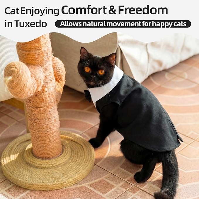 QBLEEV Cat Tuxedo Outfit with Bow Tie, Sphynx Cat Costume Formal Suit Wear | Soft breathable, stylish hairless clothes for cats only, kitten wedding birthday party shirt apparel for male boy