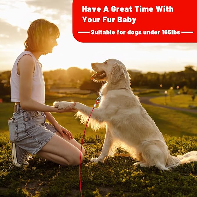 Dog Tie Out Cable - 10/15/20/25/30 FT for Large Dogs Up to 165 lbs with Durable Clips and Steel Wire