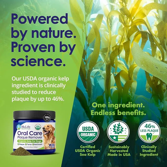 Dog Teeth Cleaning Powder, Dog Plaque and Tartar Remover, Bad Breath Treatment for Dogs with USDA Organic Sea Kelp Powder, Dog Dental Care Made Easy, for All Ages, 6oz