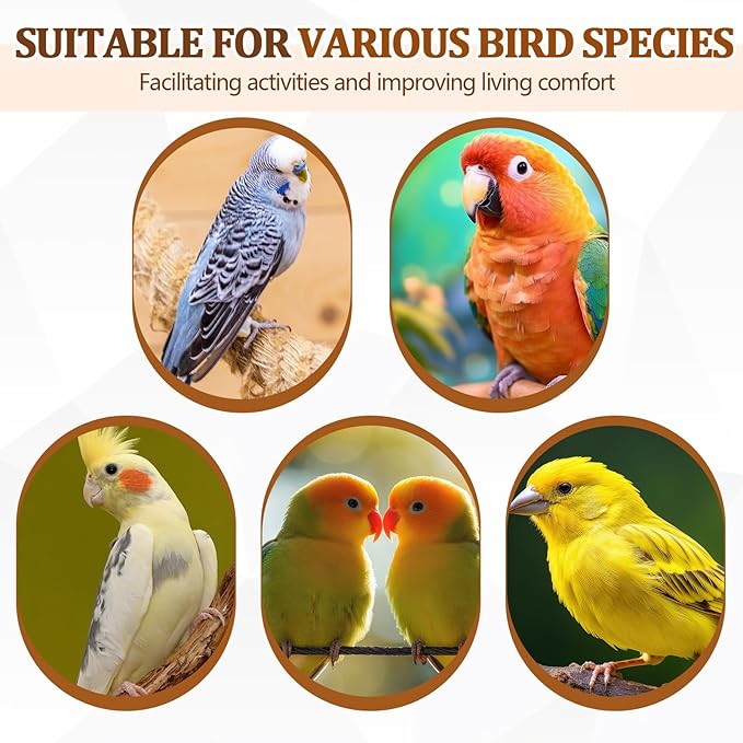 Sintuff 8 Pcs Bird Perches for Cage Accessories, Wooden Perch Rods Replacement with Double Head Slots, 0.6 Inch Diameter Natural Wood Stand for Parrot Macaw Cockatoo Parakeet (24 Inches)
