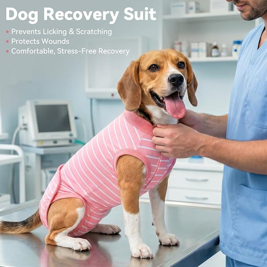 cyeollo Dog Surgery Recovery Suit, Surgical Suit for Female Male Dogs, Soft Dog Onesie, Spay Neuter Bodysuits, E-Collar & Cone Alternative, Anti-Licking Wound, Puppy Clothes for Small Dogs, Stripes XS