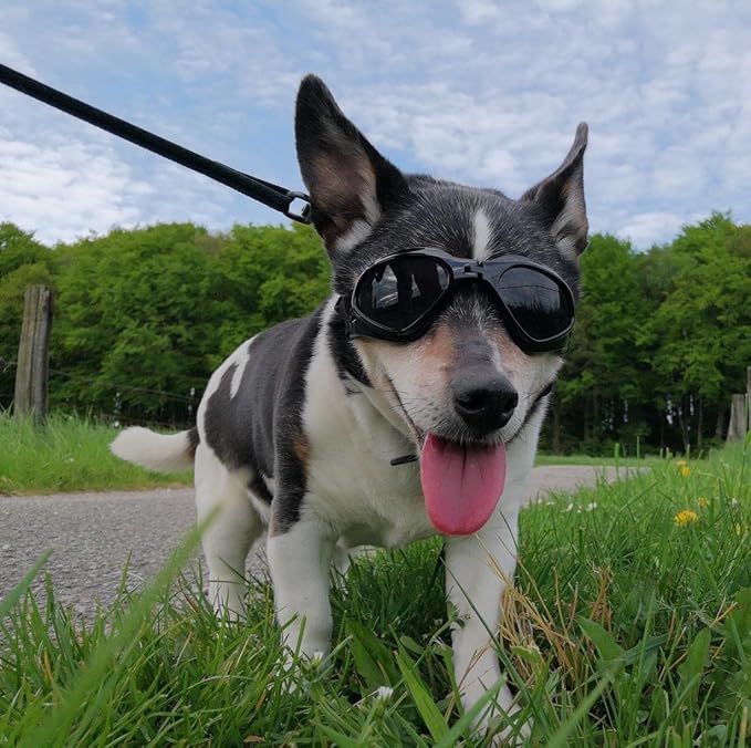 Dog Goggles Medium Breed, Dog Sunglasses for Medium Dogs Eye Protection Windproof, Black