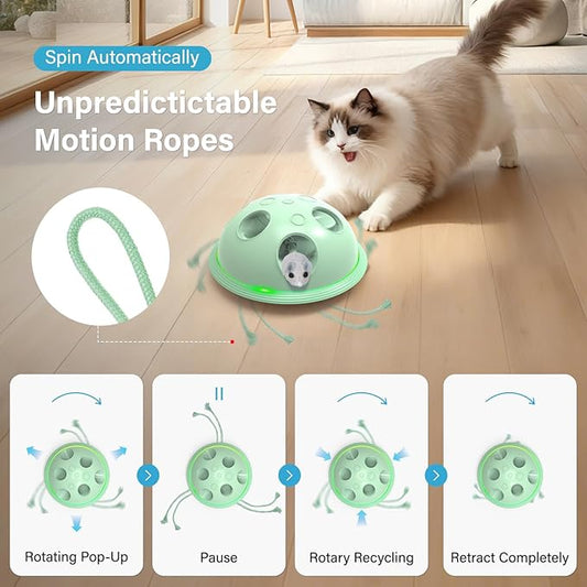 Pawingcat Automatic Cat String Toy 6 Holes Whack a Mole Cat Toy with Plush Running Cat Mouse Toy Hide and Seek Interactive Cat Toys for Indoor Cats(Green)