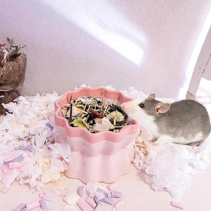 Ceramic Hamster Food Bowl Elevated Hamster Bowl Non-Tip Rat Feeding Dish with Water Bottle for Dwarf Gerbil Mouse Mice Sugar Glider (Pink)