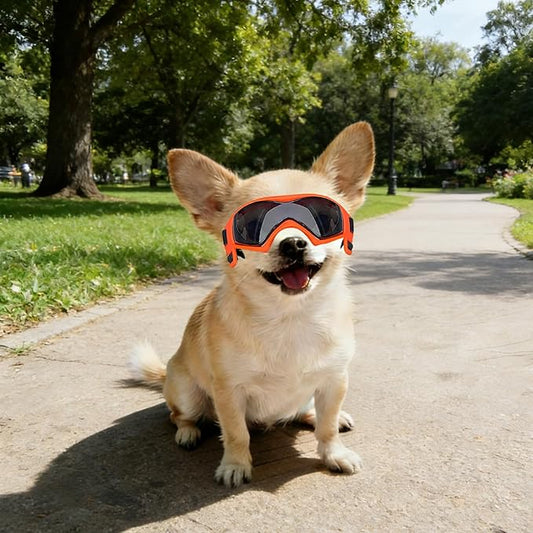 Dog Sunglasses for Extra Small Breed UV Protection Windproof XS Dog Goggles with Adjustable Head & Chin Straps for Ride Car/Hiking Travel/On Beach-Orange
