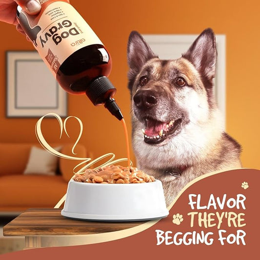 Everyday Dog Gravy - Wet Dog Food Topper for Dry Food with Glucosamine, MSM, Chicken Bone Broth, Omega 3, Probiotics and Taurine - Skin, Coat, Heart, Hip and Joint Support, 16 oz (Bacon