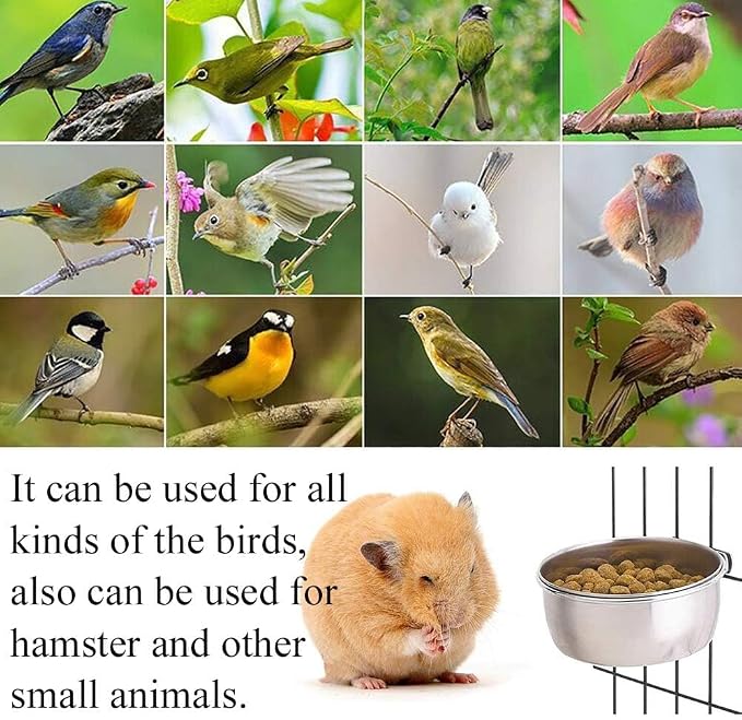 Kathson 2 Pack Bird Feeding Dish Cups, Stainless Steel bird bowls Parrot Feeders Water Cage Bowls with Clamp Holder Bird Feeders for Parakeet Cockatiels Conure Budgies Lovebird Finch and Small Animals