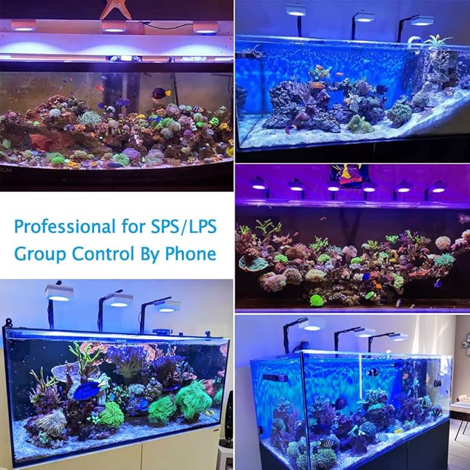 PopBloom RL90 WiFi Reef LED Light, 200W Reef Aquarium Lighting for SPS LPS Corals and Saltwater Fish Tanks, Enhanced Violet and Blue Spectrum,APP Fully Programmable (2 Lights with Mount Arm kit)