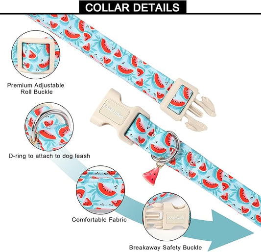 Lionet Paws Summer Dog Collar- Cute Watermelon Light Blue Dog Collars with Plastic Buckle and Watermelon Pendant,Light Adjustable Dog Collars for Small Dogs