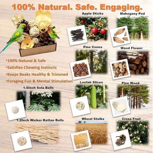Bird Toys - Sola Ball Foraging Box, 10 Natural Ingredients | Chewing and Shredding Parrot Toys | Ideal for Parakeets/Cockatiels/Conures/Lovebirds and Small to Medium Birds