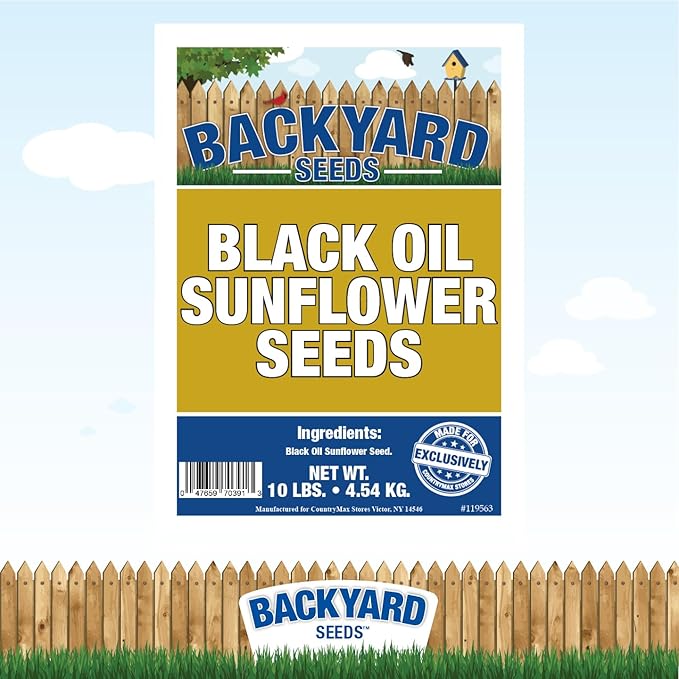 Backyard Seeds Black Oil Sunflower Seeds for Wild Birds 10lbs - Thin Shells, Premium Cardinal Food, Small Bag of Black Oil Sunflower Seeds
