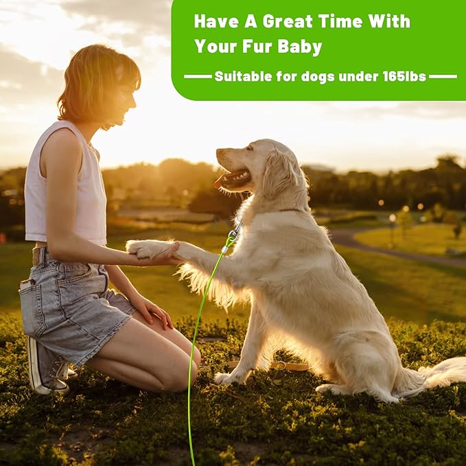 Dog Tie Out Cable 10FT Green Steel Wire Dog Cable with Durable Superior Clips for Large, Medium, Small Dogs Up to 165 lbs