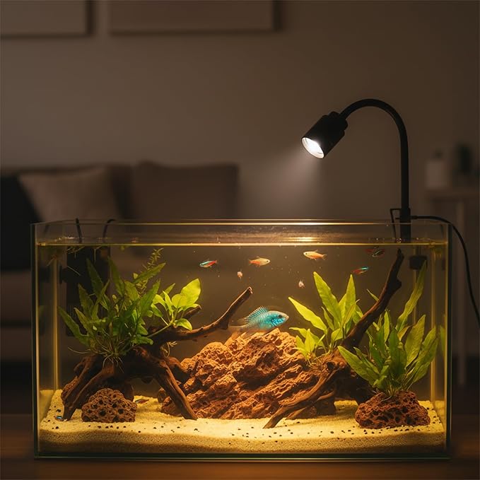 Zoom Mini Aquarium Spotlight with Timer – Gooseneck Clip-On Lamp, 15°–90° Zoom Beam, Tri-Color White/Warm White/Warm Light, Full Brightness Dimming (Black - NO Timer)