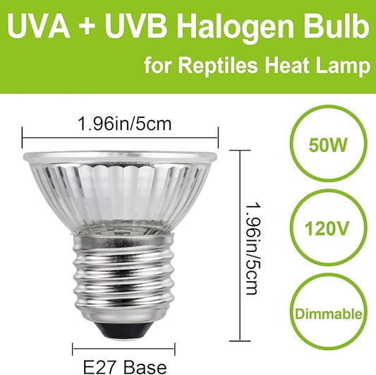UVB UVA Reptile Light Bulb 50W Bulb for Reptiles and Amphibians Use for Turtle, Bearded Dragon, Lizard Cages Heat Lamp Replacement Bulb, Pack of 6