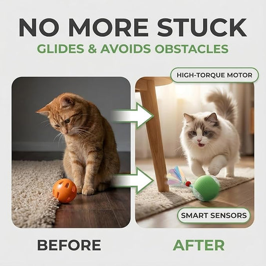 Interactive Cat Toy for Indoor Cats - Automatic Cat Toy Ball with Tail, Self Moving Electric Kitten Toys, USB Rechargeable Smart Rolling Ball, Motion Activated Cat Enrichment Toys for Bored Cats Green