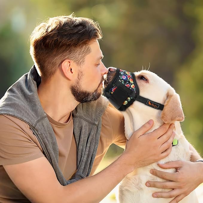 HEELE Dog Muzzle,Soft Nylon Muzzle Anti Biting Barking Chewing,Air Mesh Breathable Drinkable Adjustable Loop Pets Muzzle for Small Medium Large Dogs 4 Colors 4 Sizes (P-Black Sunflower, S)