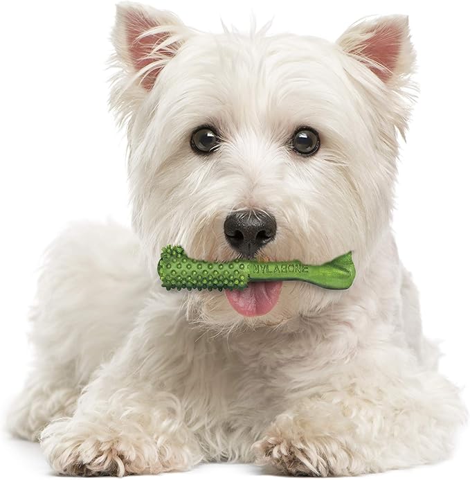 Nylabone Nutri Dent Dog Dental Chews - Natural Dog Teeth Cleaning & Breath Freshener - Dental Treats for Dogs - Fresh Breath Flavor, Small (28 Count) (Pack of 2)