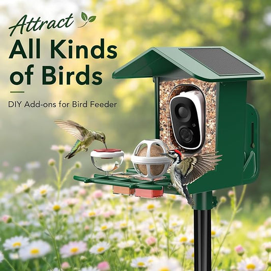 Bird Feeder with Camera Accessories, Include 1 Bird Perch, 1 Mini Hummingbird Feeder, 1 Suet Ball Feeder and 1 Water Box, Fit G02 Bird Camera Feeder