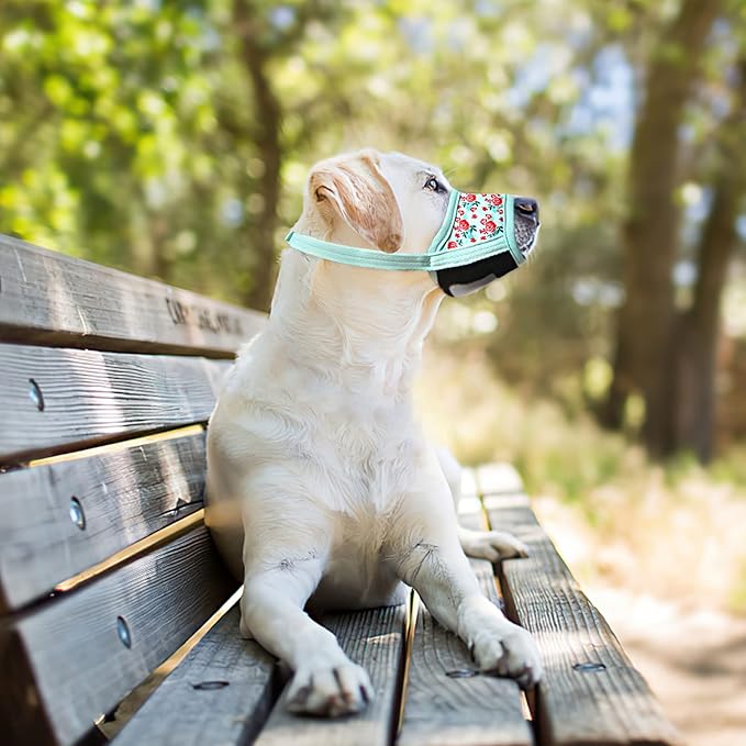 HEELE Dog Muzzle,Soft Nylon Muzzle Anti Biting Barking Chewing,Air Mesh Breathable Drinkable Adjustable Loop Pets Muzzle for Small Medium Large Dogs 4 Colors 4 Sizes (P-Cyan Flower, M)